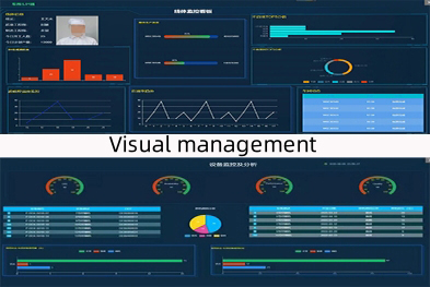Visual Management